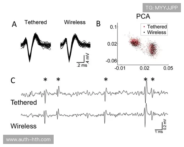 传感器网络持续扩容，实现运动员生理数据毫秒级采集